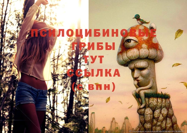 скорость Баксан