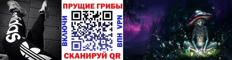 кракен ONION  Шлиссельбург  Галлюциногенные грибы GOLDEN TEACHER 