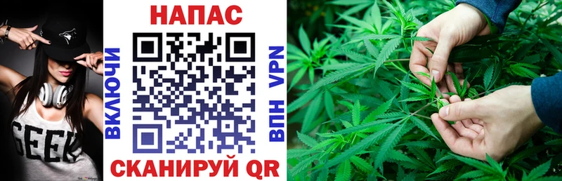 Бошки марихуана ГИДРОПОН  Шлиссельбург 